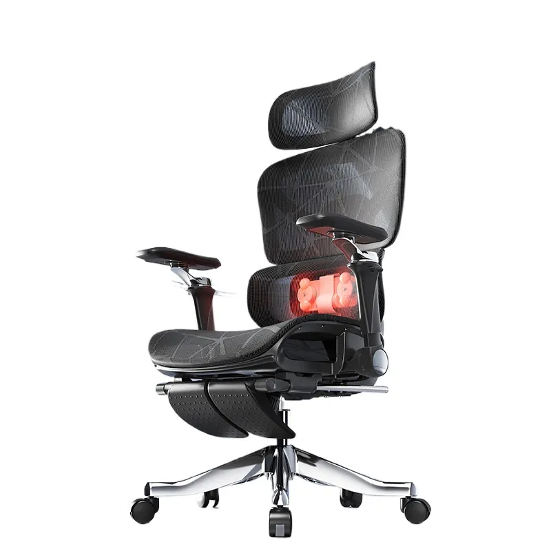 Ergonomic Massage Lumbar Suppo - Massage recension och pris